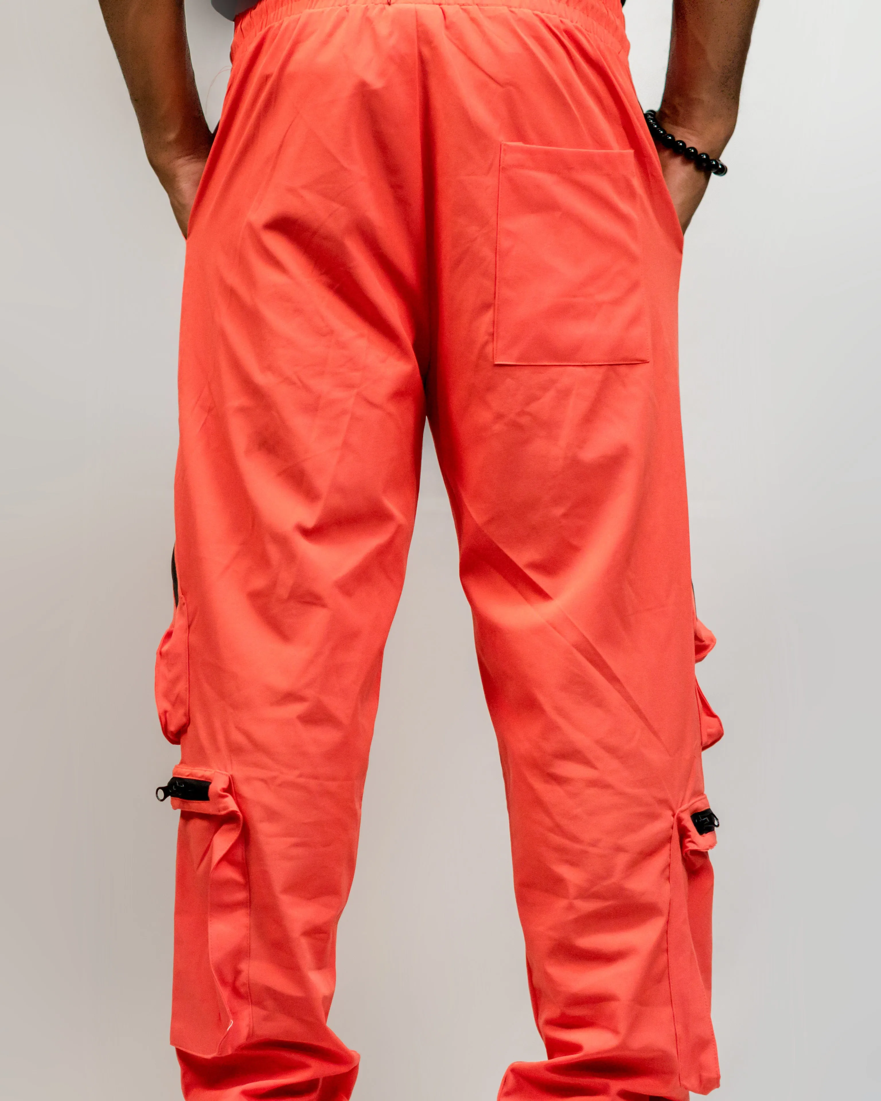 iLLionaire Society Reflective Utility Pants