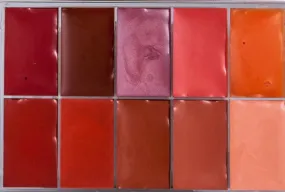 MAQPRO Neutral Lip Palette - MAP14